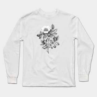 Wild Rose Flower Black & White Illustration Long Sleeve T-Shirt